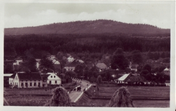 Podlesí 1941 95 015 ●